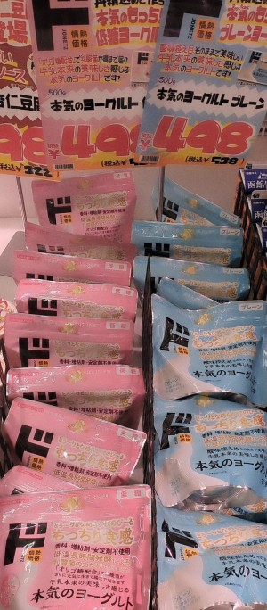 大樹時間？