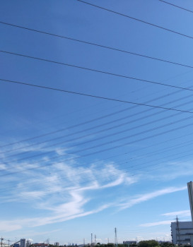 青空で今日も一日がんばるぞっ