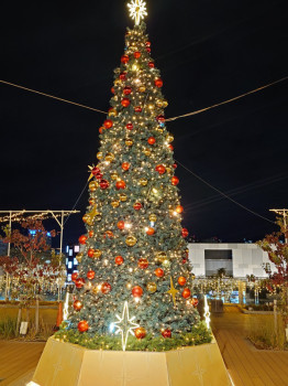 気づけば12月。胃も心もクリスマスモード？