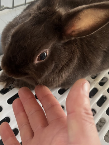 朝から☺️