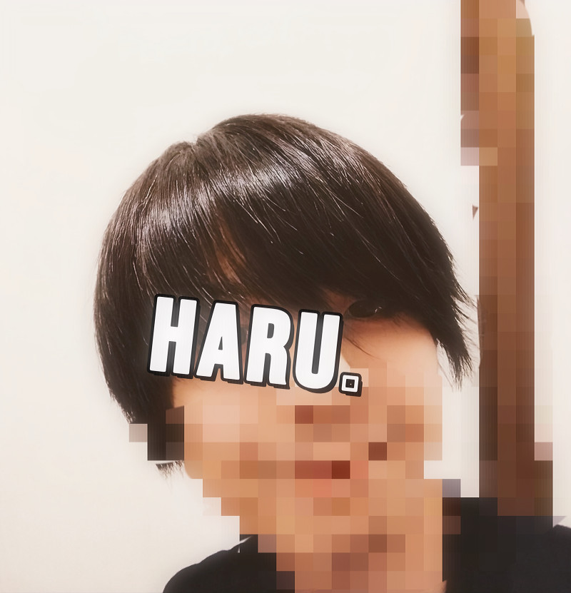 ハルの休みの使い方は