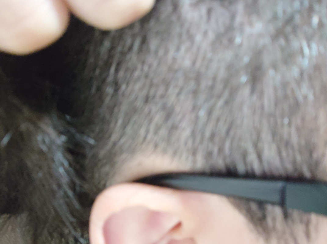 毛刈り期