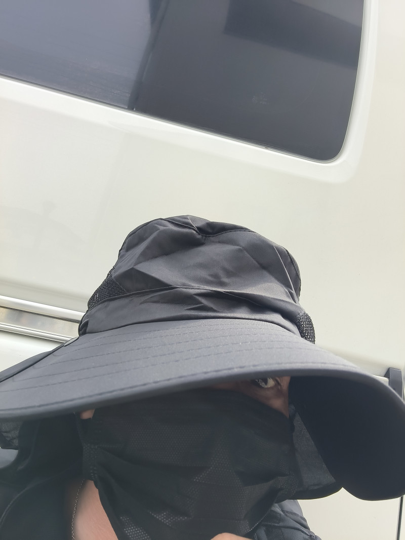洗車日和