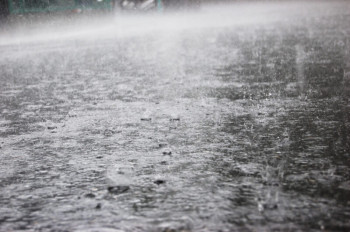 今日の大雨に打たれながらも良い男