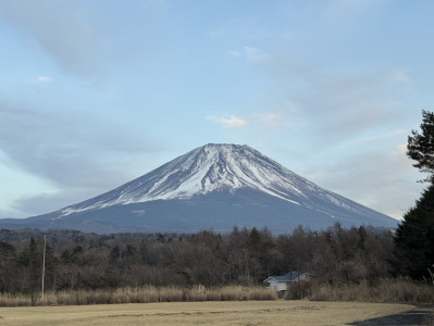 やれる事は全部やる