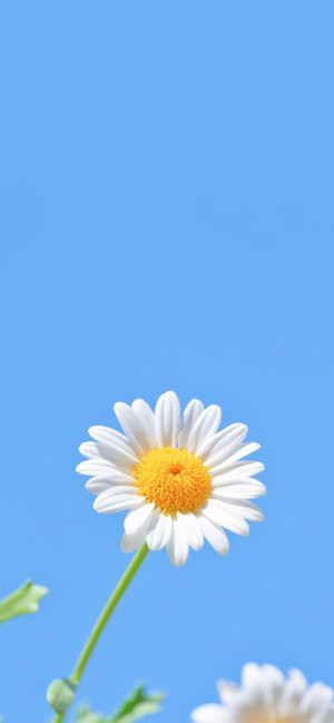 正論