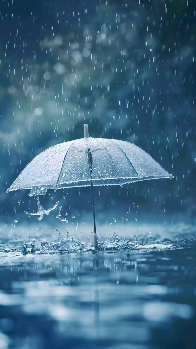 思い出はいつの日も雨