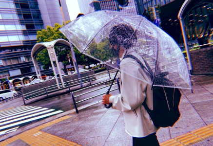 雨の後は星が綺麗に見えるんだよ