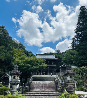 【伊奈波神社と「龍」という名前の由来】