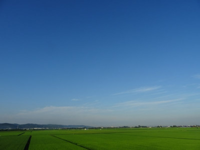 「青空って、心に風を通すんだな」