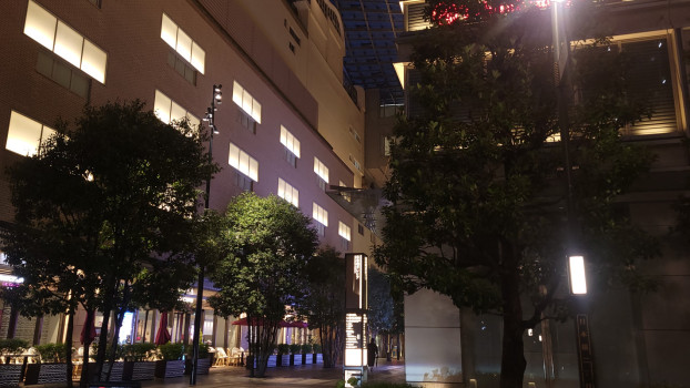 この夜が終われば