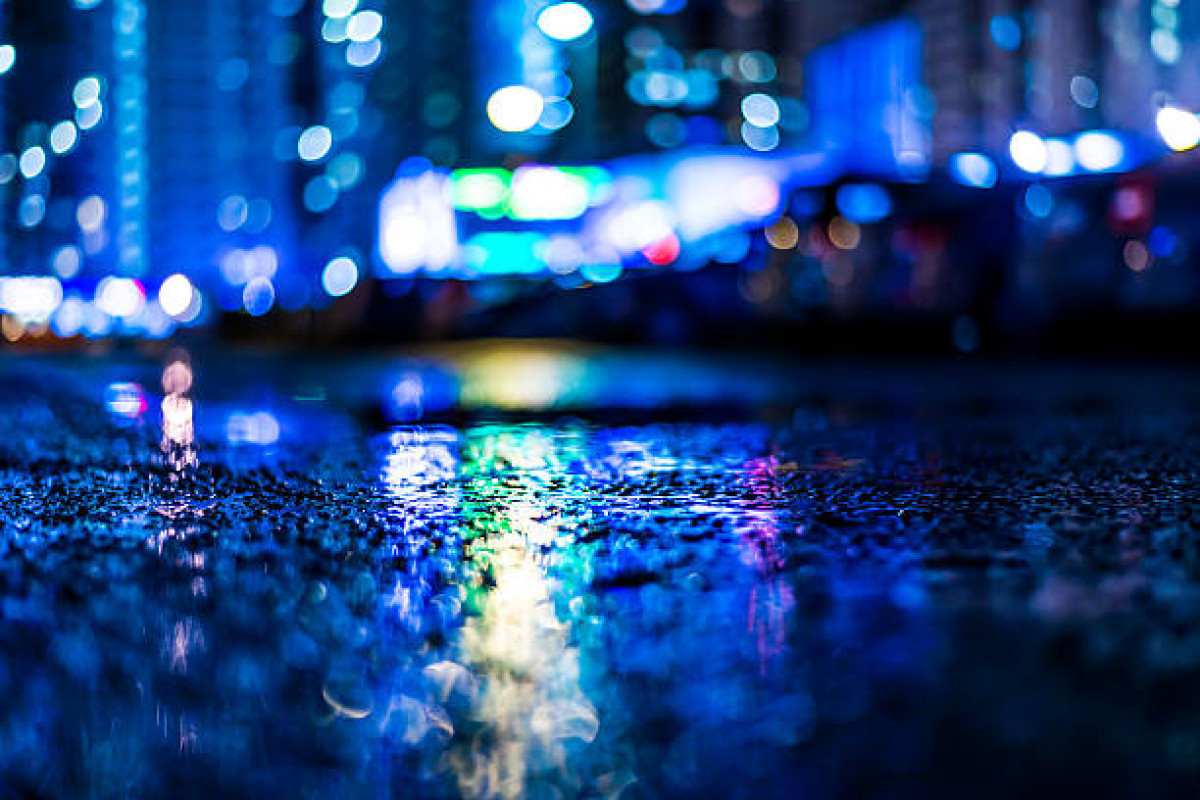 雨に打たれて
