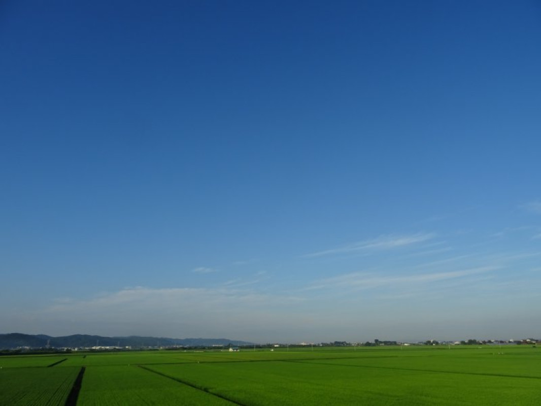 「青空って、心に風を通すんだな」