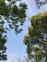 どこか行きたいなー