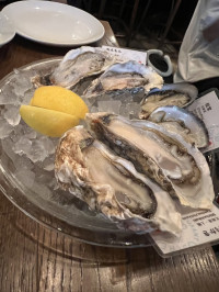 お出かけコース