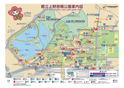 東京でハスの花が見れるポイント②