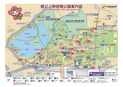 東京でハスの花が見れるポイント②