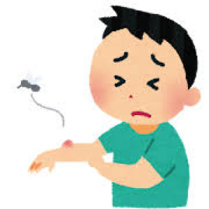許してないのに、近づいてくるやつっているよね