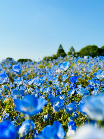 他人に関心を持ちすぎて不幸な人