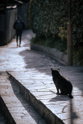 【出会いと別れは、きっと未来への贈り物】