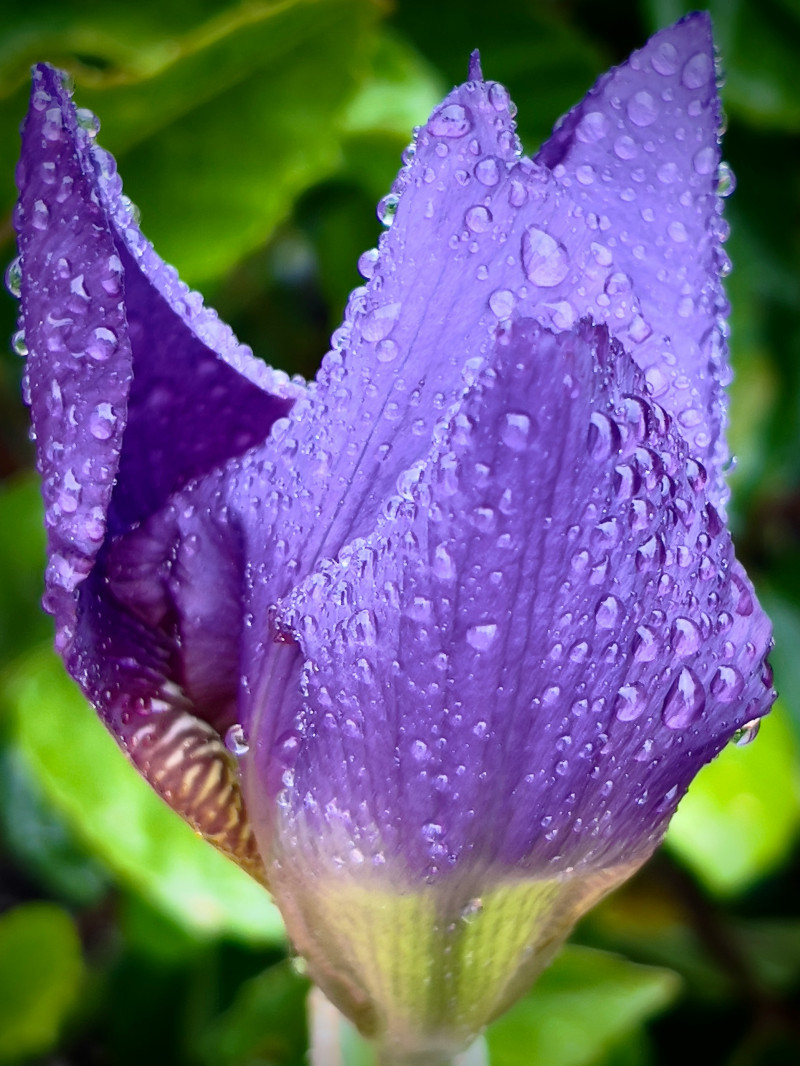 雨の日の予約