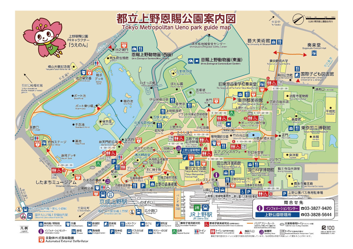 東京でハスの花が見れるポイント②
