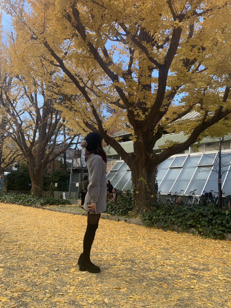 心がほどける午後のすごし方