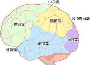 主に得意としている性感のお話