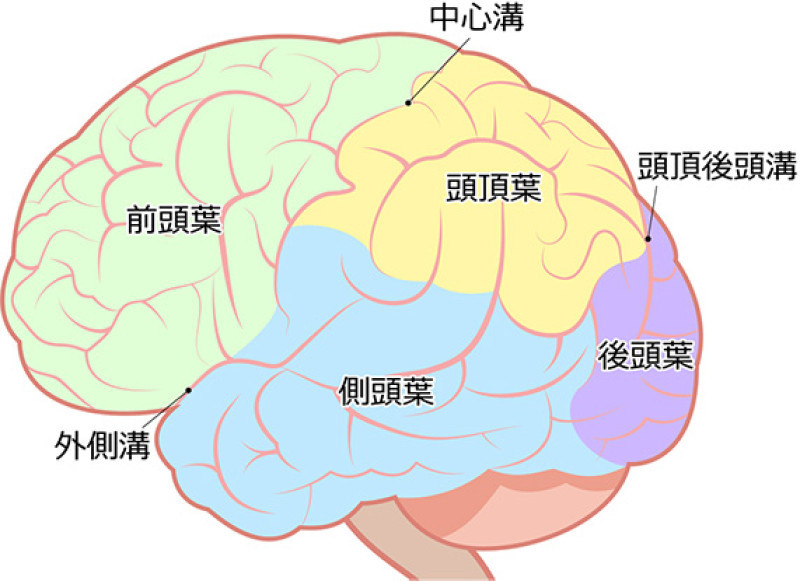 主に得意としている性感のお話