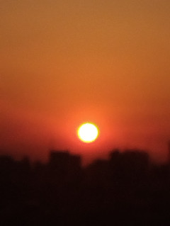 今夜のひとこと