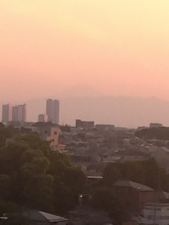 今日のひとこと