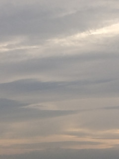 今日のお礼