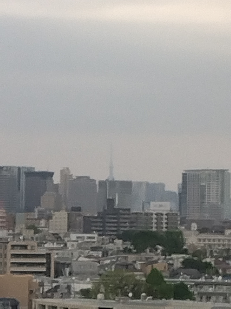今日のひとこと