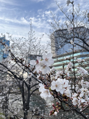 おおきに。
