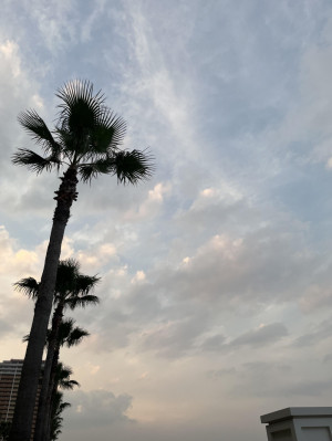 話せただけでも、すごいやん？