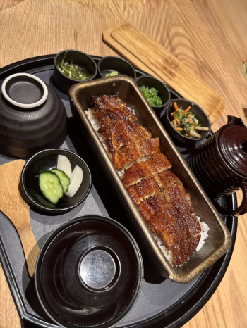セラピストの多様化