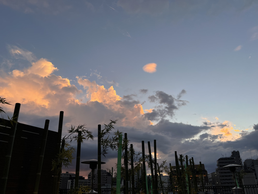 誰にも見られてへん、夜のごほうび。