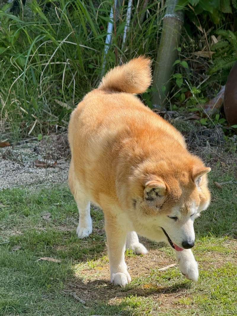 くしゃみの色気　