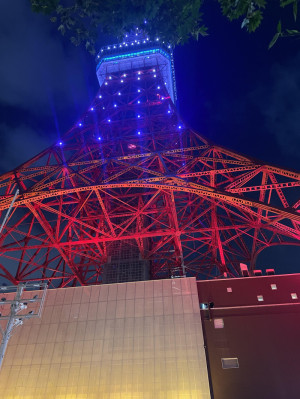 東京の夜