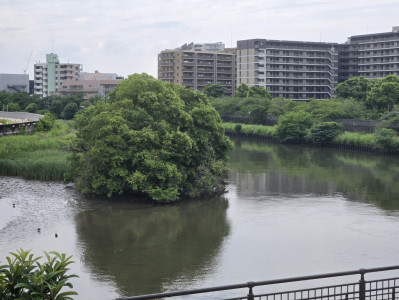 いい天気！