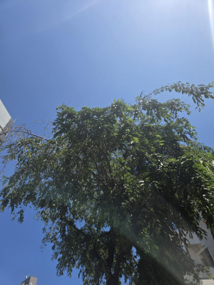 空は快晴