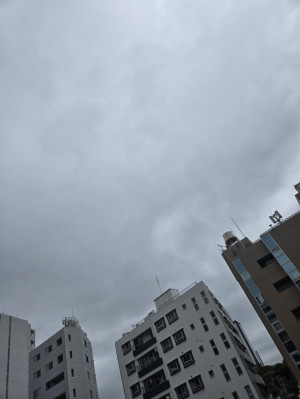 おはよー