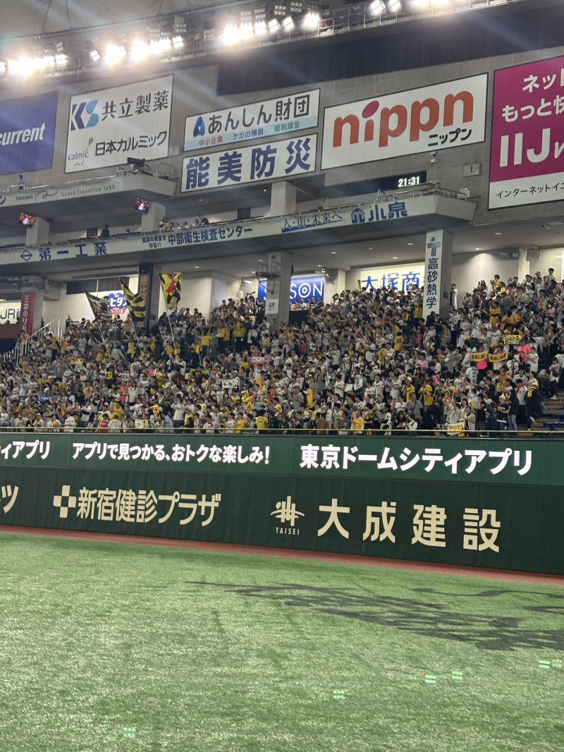 野球観戦