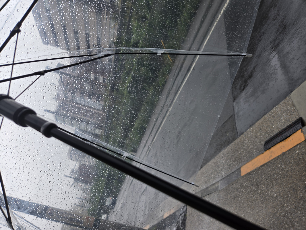 雨の香り