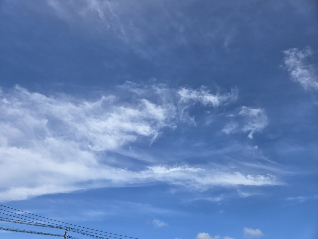 今日はいい天気！