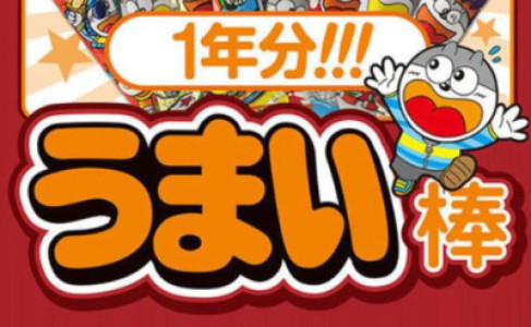 先日