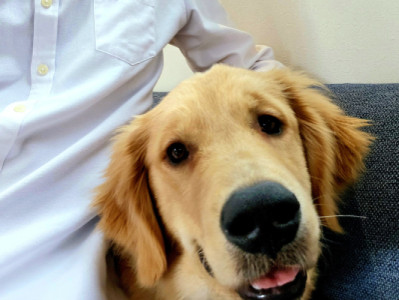 犬カフェ