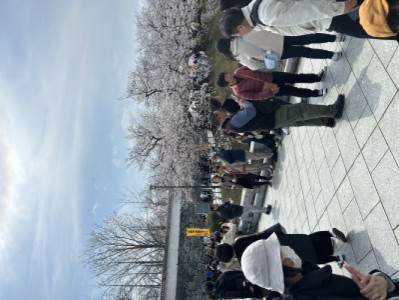 花見?