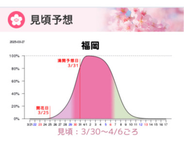 花見