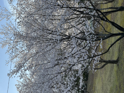 それはそれは